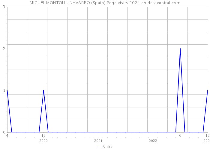 MIGUEL MONTOLIU NAVARRO (Spain) Page visits 2024 