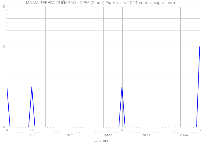 MARIA TERESA CUÑARRO LOPEZ (Spain) Page visits 2024 