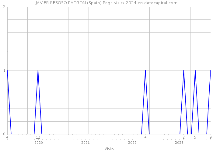 JAVIER REBOSO PADRON (Spain) Page visits 2024 