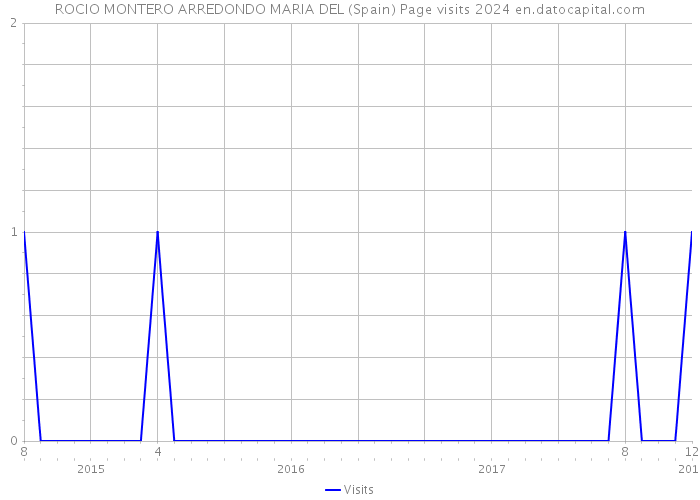 ROCIO MONTERO ARREDONDO MARIA DEL (Spain) Page visits 2024 