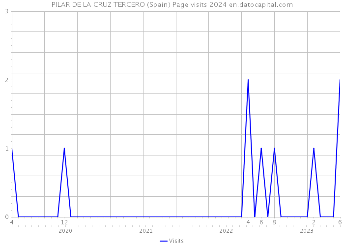 PILAR DE LA CRUZ TERCERO (Spain) Page visits 2024 