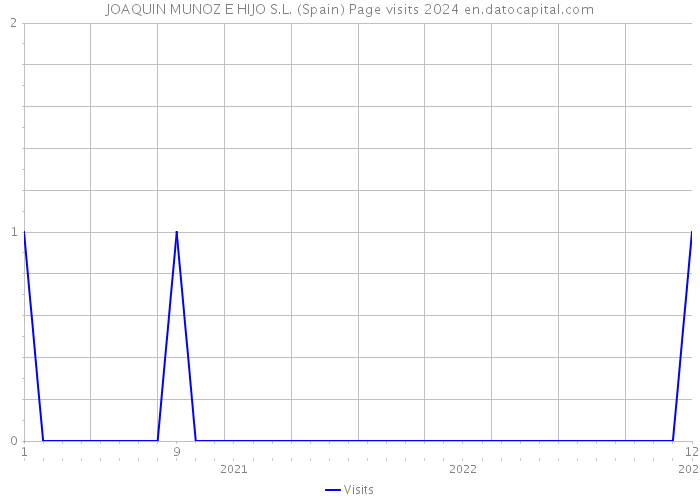 JOAQUIN MUNOZ E HIJO S.L. (Spain) Page visits 2024 