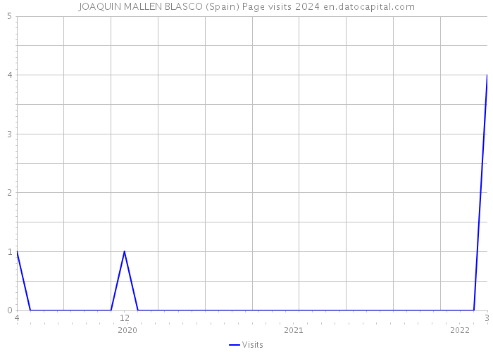 JOAQUIN MALLEN BLASCO (Spain) Page visits 2024 
