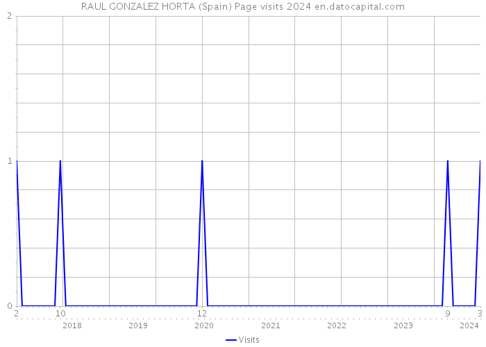 RAUL GONZALEZ HORTA (Spain) Page visits 2024 