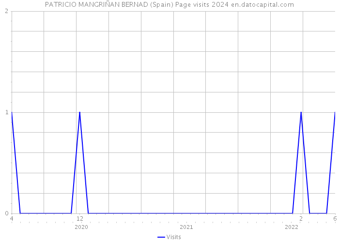 PATRICIO MANGRIÑAN BERNAD (Spain) Page visits 2024 