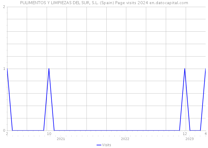 PULIMENTOS Y LIMPIEZAS DEL SUR, S.L. (Spain) Page visits 2024 