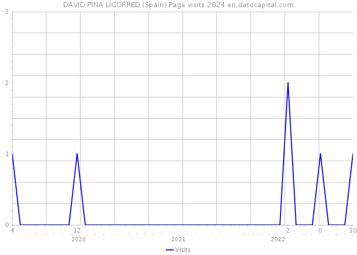 DAVID PINA LIGORRED (Spain) Page visits 2024 