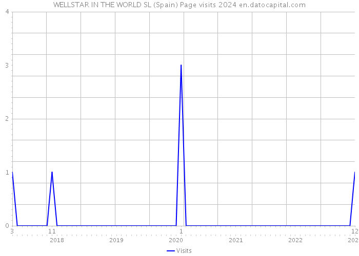 WELLSTAR IN THE WORLD SL (Spain) Page visits 2024 