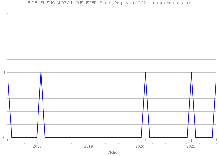 FIDEL BUENO MORCILLO ELIECER (Spain) Page visits 2024 