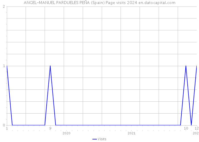 ANGEL-MANUEL PARDUELES PEÑA (Spain) Page visits 2024 