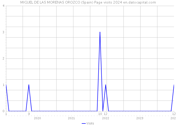 MIGUEL DE LAS MORENAS OROZCO (Spain) Page visits 2024 