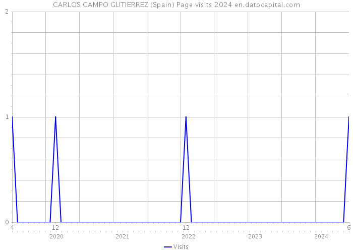 CARLOS CAMPO GUTIERREZ (Spain) Page visits 2024 