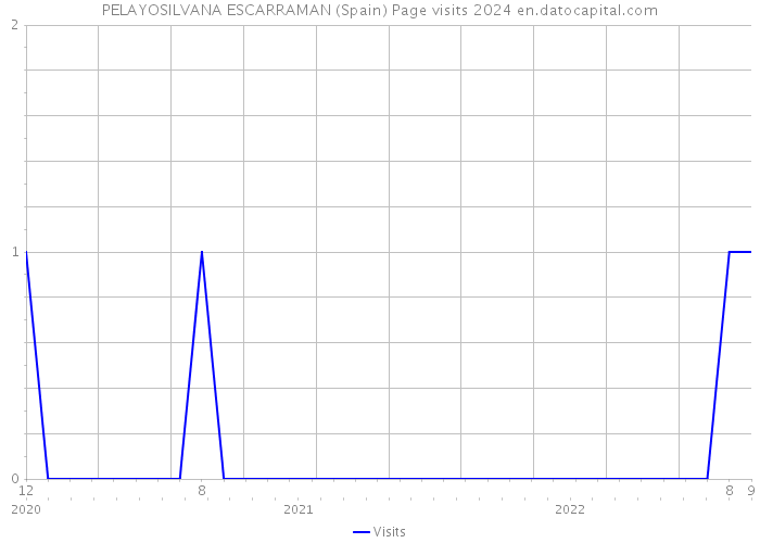 PELAYOSILVANA ESCARRAMAN (Spain) Page visits 2024 