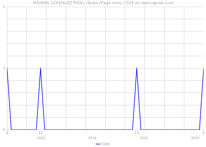 MANUEL GONZALEZ PIDAL (Spain) Page visits 2024 
