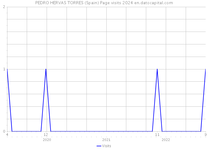 PEDRO HERVAS TORRES (Spain) Page visits 2024 