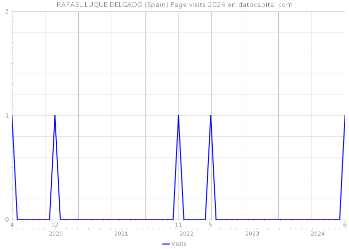 RAFAEL LUQUE DELGADO (Spain) Page visits 2024 