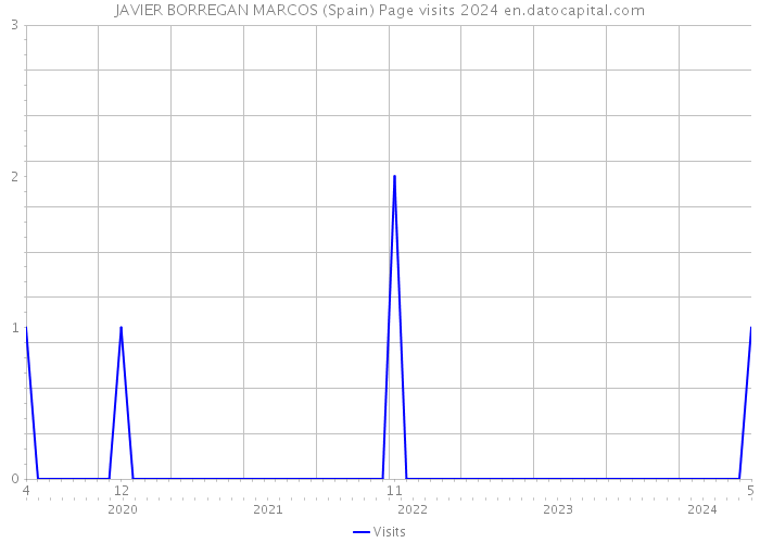 JAVIER BORREGAN MARCOS (Spain) Page visits 2024 