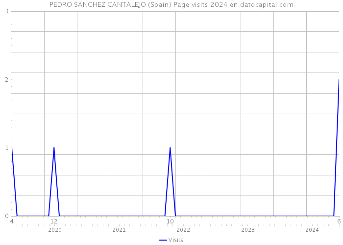 PEDRO SANCHEZ CANTALEJO (Spain) Page visits 2024 