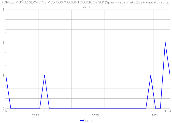 TORRES MUÑOZ SERVICIOS MEDICOS Y ODONTOLOGICOS SLP (Spain) Page visits 2024 