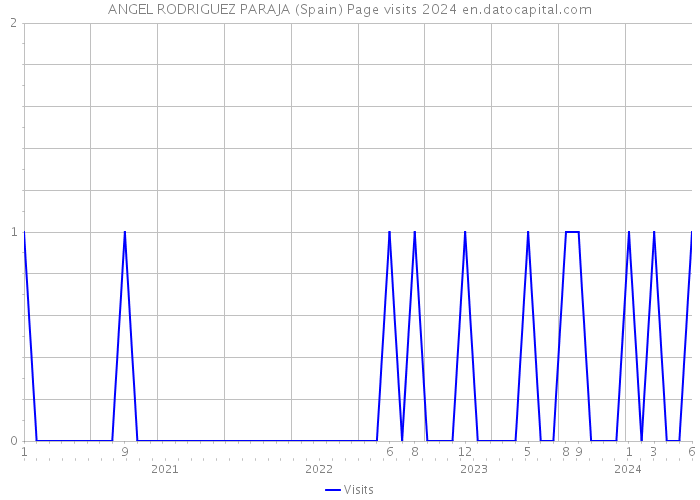 ANGEL RODRIGUEZ PARAJA (Spain) Page visits 2024 