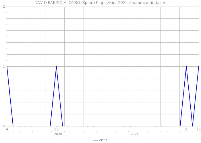 DAVID BARRIO ALONSO (Spain) Page visits 2024 