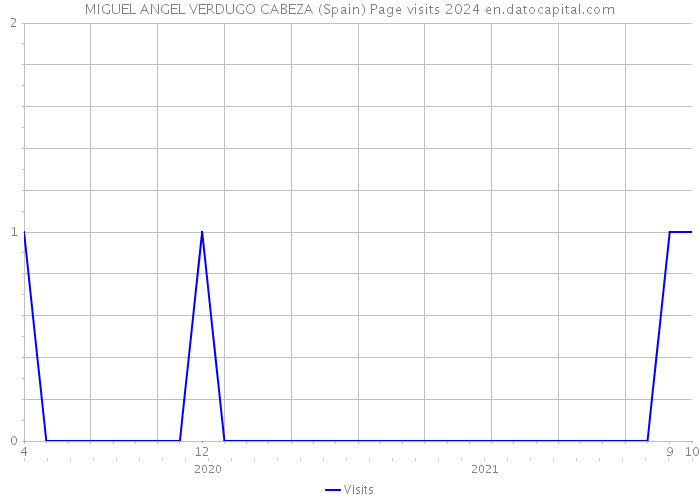MIGUEL ANGEL VERDUGO CABEZA (Spain) Page visits 2024 
