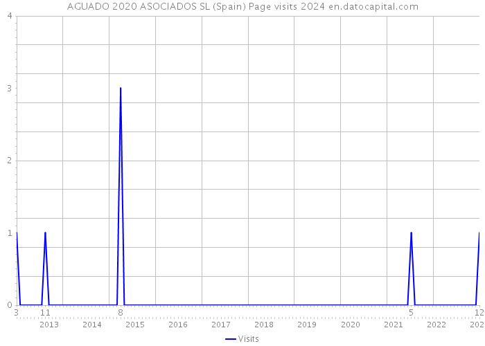 AGUADO 2020 ASOCIADOS SL (Spain) Page visits 2024 