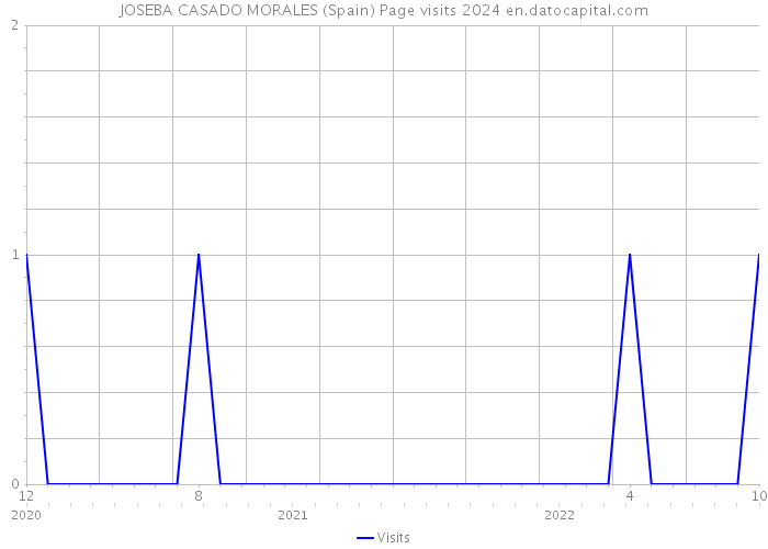 JOSEBA CASADO MORALES (Spain) Page visits 2024 