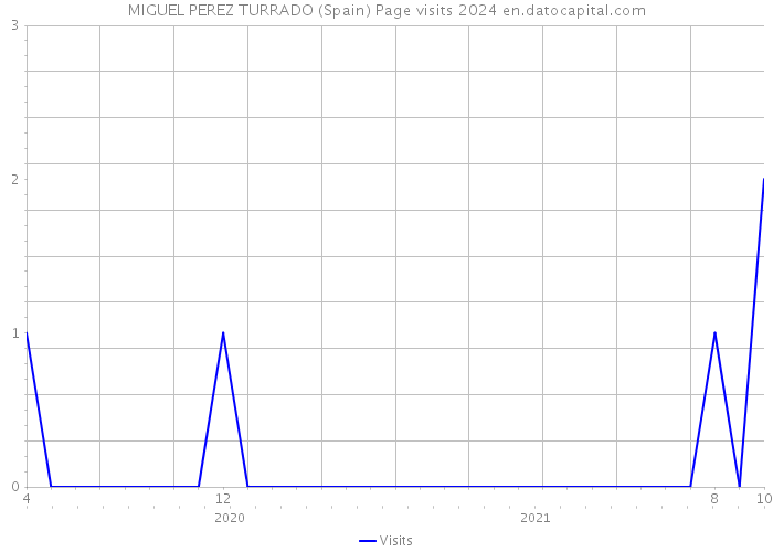 MIGUEL PEREZ TURRADO (Spain) Page visits 2024 