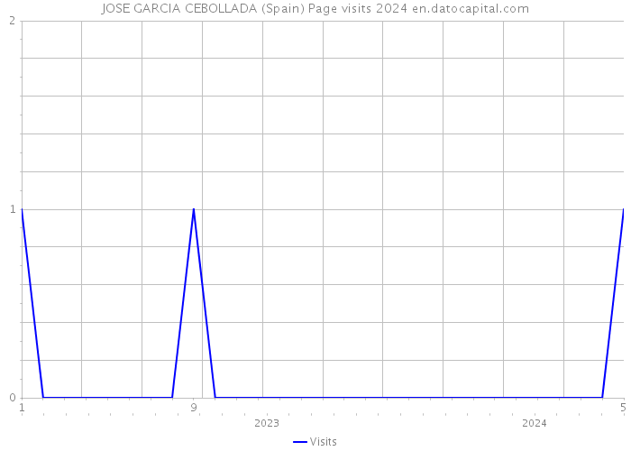 JOSE GARCIA CEBOLLADA (Spain) Page visits 2024 