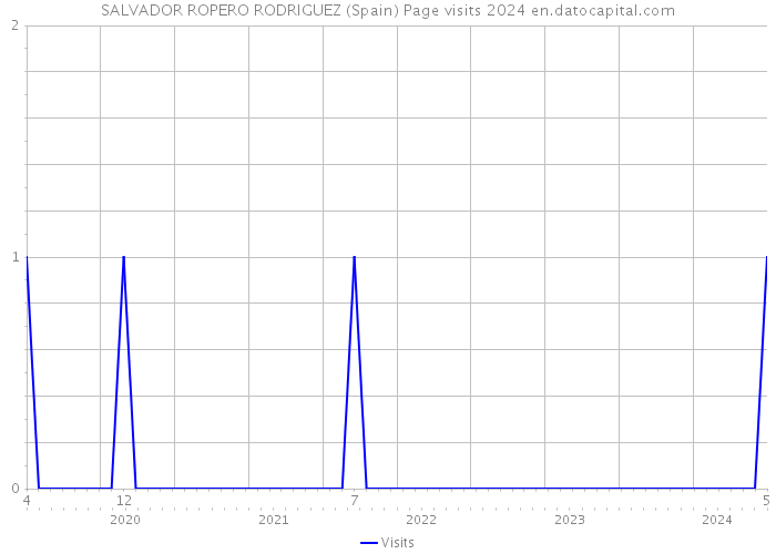 SALVADOR ROPERO RODRIGUEZ (Spain) Page visits 2024 
