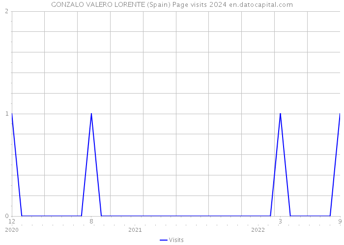 GONZALO VALERO LORENTE (Spain) Page visits 2024 
