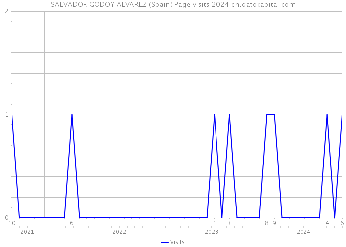 SALVADOR GODOY ALVAREZ (Spain) Page visits 2024 