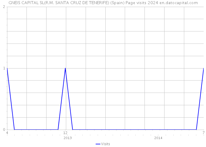 GNEIS CAPITAL SL(R.M. SANTA CRUZ DE TENERIFE) (Spain) Page visits 2024 