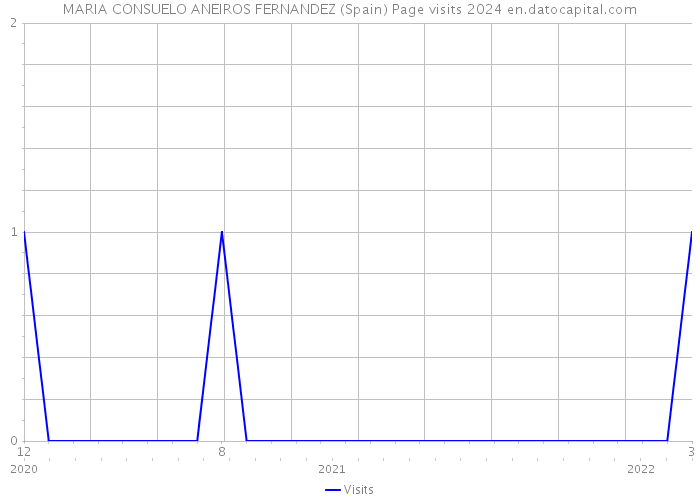 MARIA CONSUELO ANEIROS FERNANDEZ (Spain) Page visits 2024 