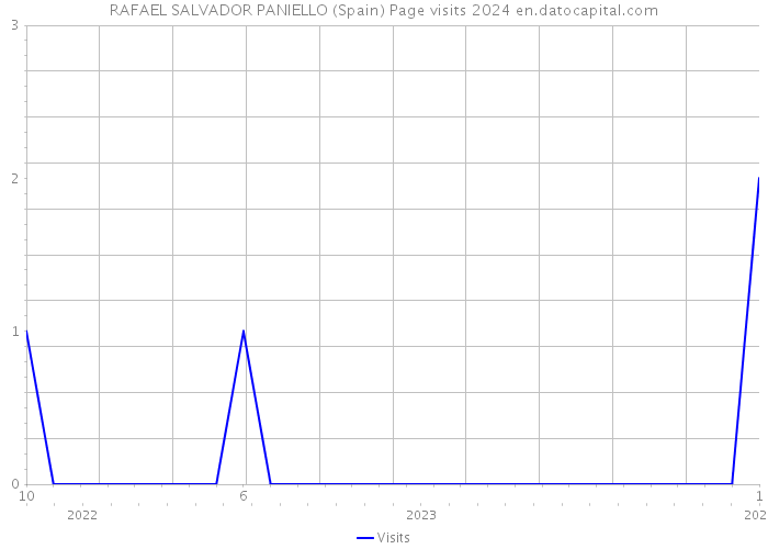 RAFAEL SALVADOR PANIELLO (Spain) Page visits 2024 
