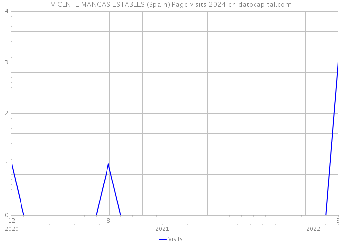 VICENTE MANGAS ESTABLES (Spain) Page visits 2024 