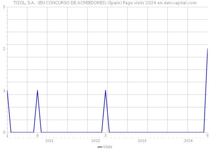 TIZOL, S.A. (EN CONCURSO DE ACREEDORES) (Spain) Page visits 2024 