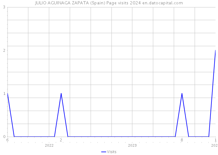 JULIO AGUINAGA ZAPATA (Spain) Page visits 2024 