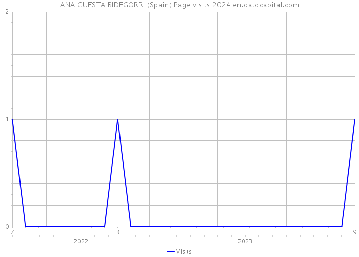 ANA CUESTA BIDEGORRI (Spain) Page visits 2024 