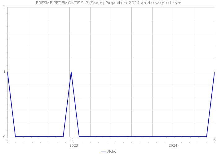 BRESME PEDEMONTE SLP (Spain) Page visits 2024 