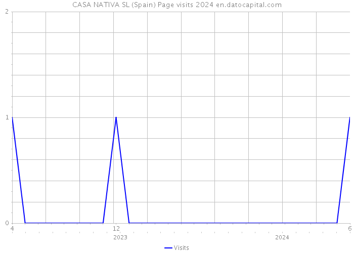 CASA NATIVA SL (Spain) Page visits 2024 