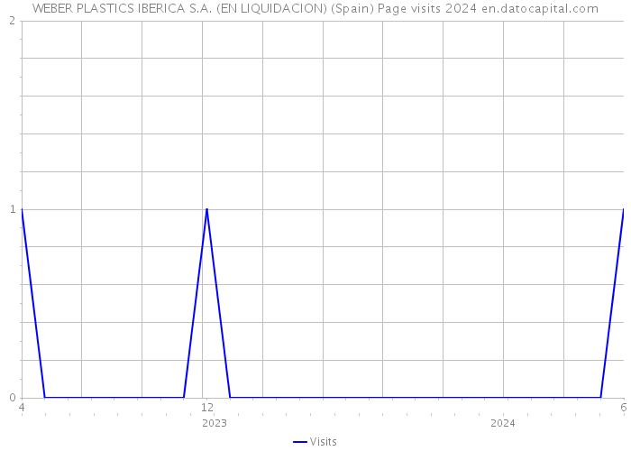 WEBER PLASTICS IBERICA S.A. (EN LIQUIDACION) (Spain) Page visits 2024 