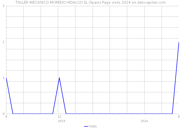 TALLER MECANICO MORENO HIDALGO SL (Spain) Page visits 2024 