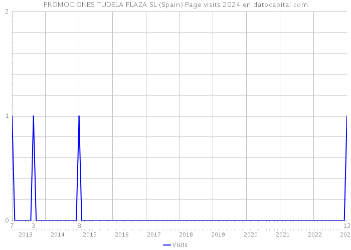 PROMOCIONES TUDELA PLAZA SL (Spain) Page visits 2024 
