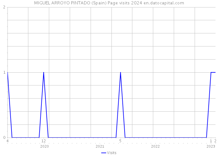 MIGUEL ARROYO PINTADO (Spain) Page visits 2024 