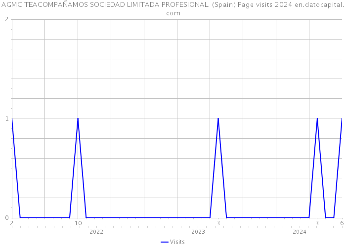 AGMC TEACOMPAÑAMOS SOCIEDAD LIMITADA PROFESIONAL. (Spain) Page visits 2024 