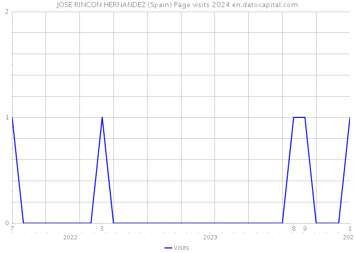 JOSE RINCON HERNANDEZ (Spain) Page visits 2024 