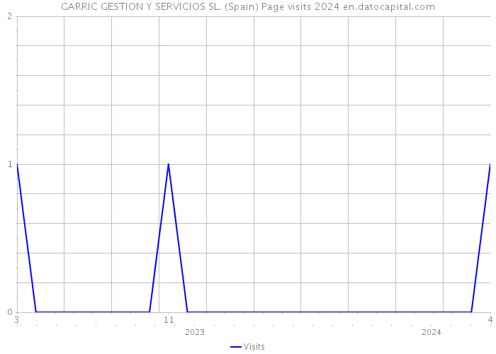 GARRIC GESTION Y SERVICIOS SL. (Spain) Page visits 2024 