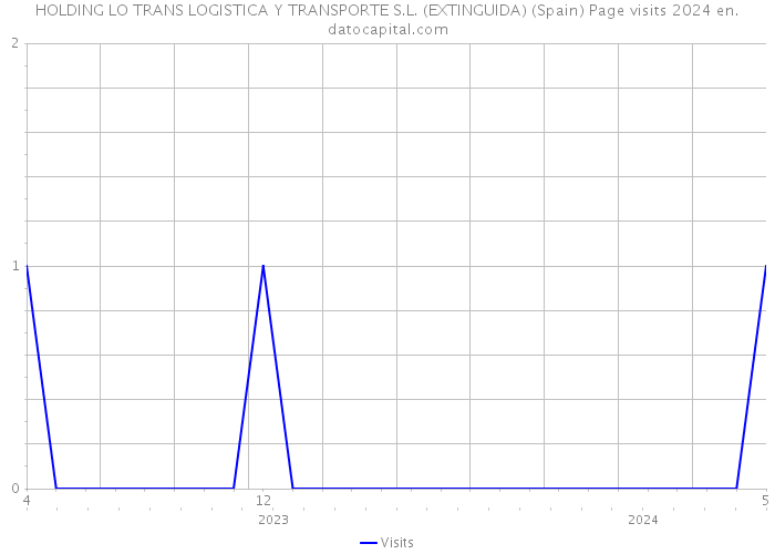 HOLDING LO TRANS LOGISTICA Y TRANSPORTE S.L. (EXTINGUIDA) (Spain) Page visits 2024 